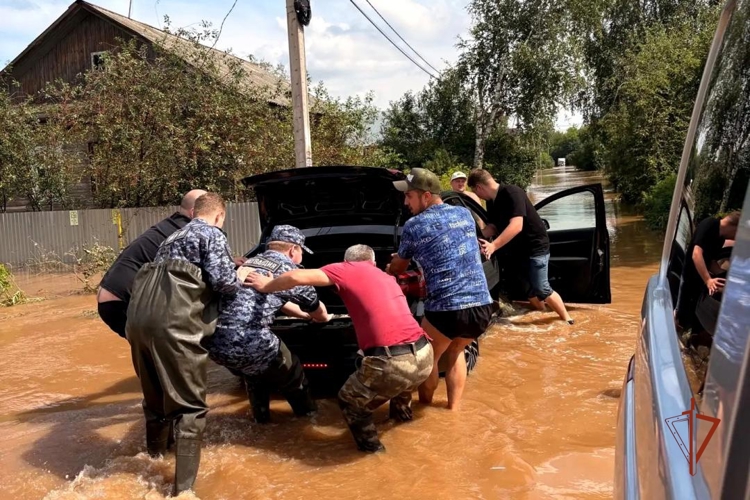 В Удмуртии росгвардейцы оказывают помощь жителям Глазова, пострадавшим от подтопления В Удмуртии росгвардейцы оказывают помощь жителям Глазова, пострадавшим от подтопления
