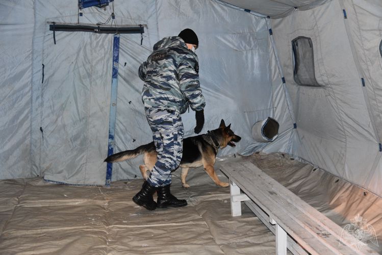 Сотрудники Росгвардии приняли участие в охране общественного порядка во время проведения крещенских купаний