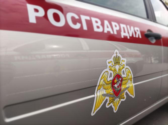 Сотрудники Росгвардии задержали мужчину за попытку кражи из супермаркета в Удмуртии 