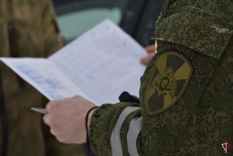В Удмуртии специалисты военной автомобильной инспекции Росгвардии отмечают профессиональный праздник