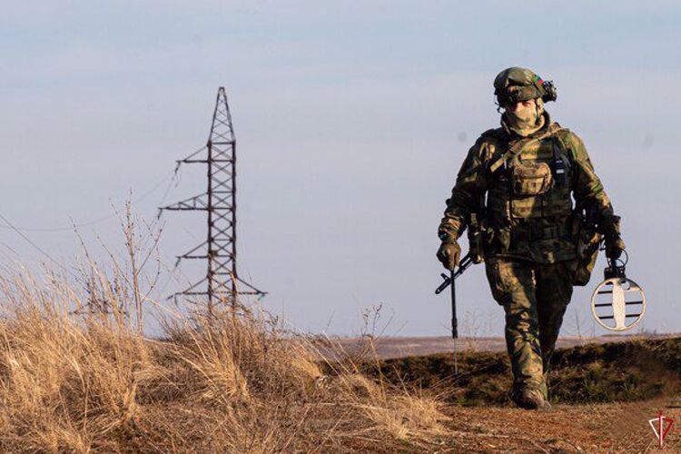 Росгвардейцы предотвратили взрыв на ЛЭП в Донецкой Народной Республике