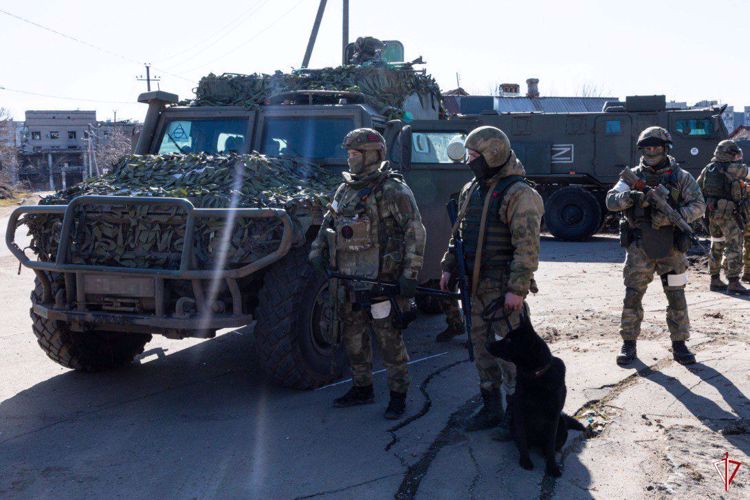Росгвардейцы разминировали дорогу и ликвидировали схрон с боеприпасами в ДНР