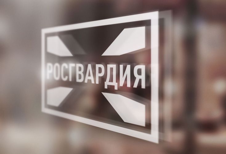 Свыше 200 печатных изданий экстремистского содержания обнаружили росгвардейцы в Херсонской области