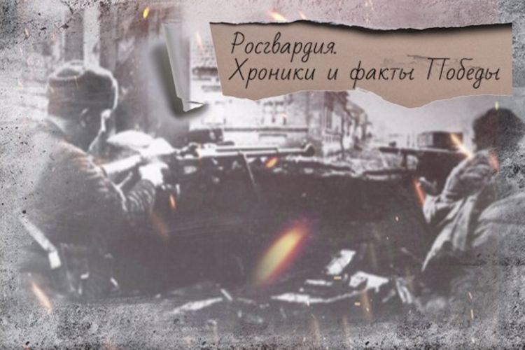 80 лет назад воины-чекисты прорвали "Голубую линию" в ходе битвы за Кавказ