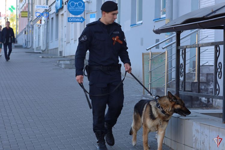 Росгвардейцы приняли участие в обеспечении общественной безопасности во время празднования Дня Победы в Удмуртии