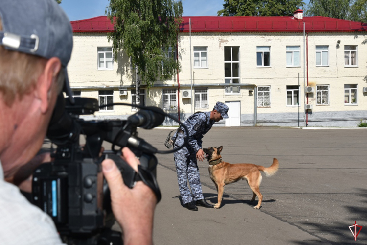 Начальник кинологической службы Управления Росгвардии Удмуртской Республике рассказал журналистам о своей профессии