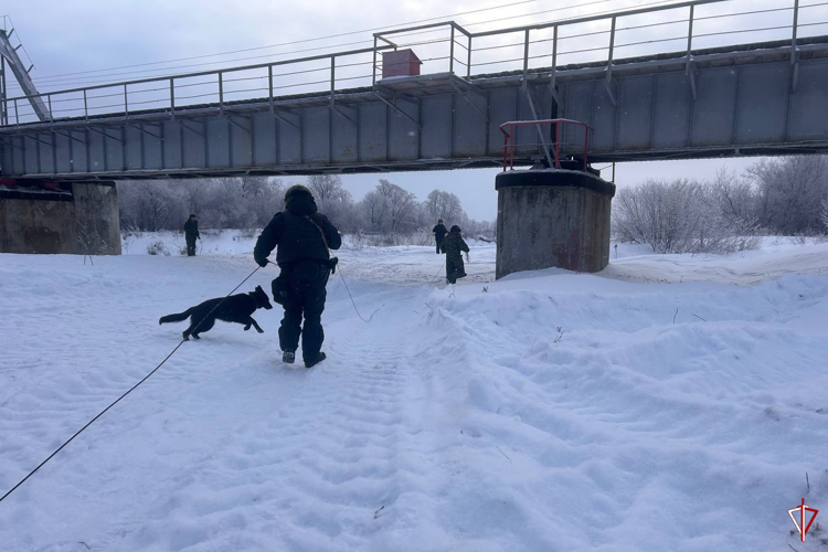 В Удмуртии сотрудники Росгвардии приняли участие в антитеррористическом учении