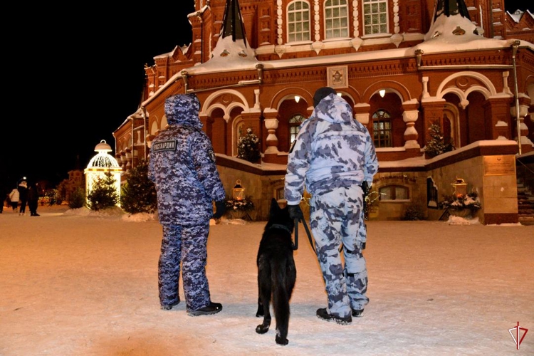 В Удмуртии росгвардейцы обеспечили правопорядок в период празднования Рождества Христова
