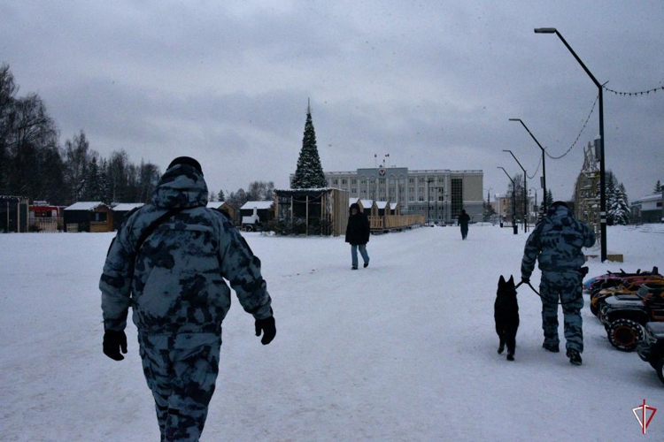 В Удмуртии в новогоднюю ночь росгвардейцы обеспечили охрану общественного порядка при проведении праздничных мероприятий