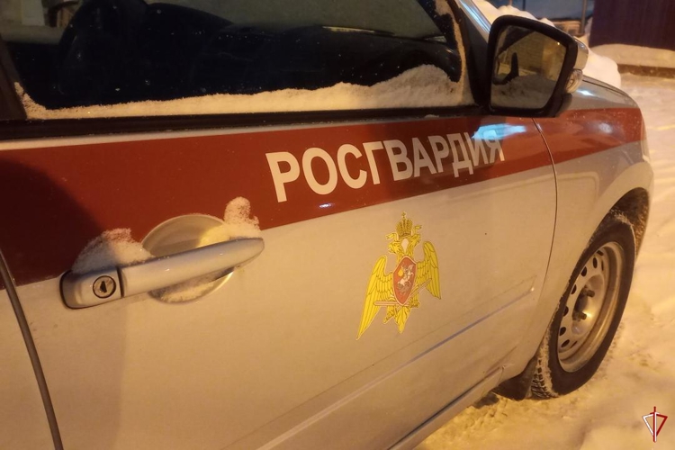 В Ижевске росгвардейцы задержали 20-летнего подозреваемого в краже