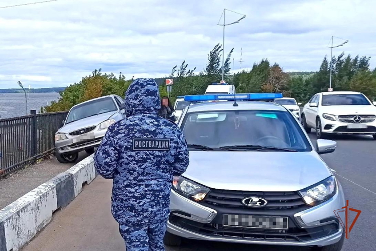 В Ижевске росгвардейцами задержан водитель, сбивший двух пешеходов