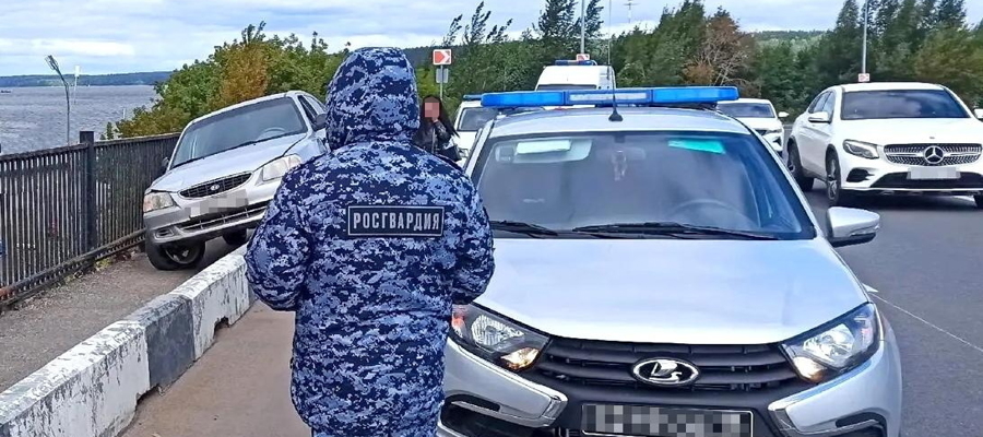 В Ижевске росгвардейцами задержан водитель, сбивший двух пешеходов