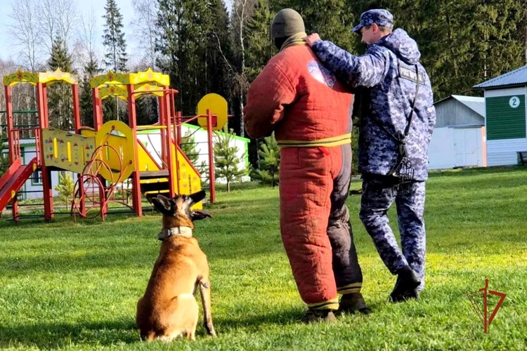 В Удмуртии кинологи Росгвардии рассказали школьникам о своих четвероногих напарниках